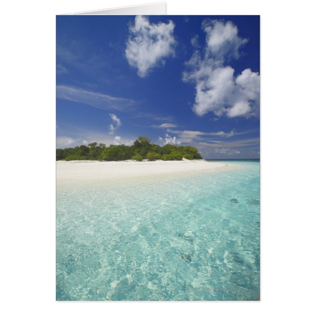 Tropisch eiland omringd door lagune, Maldiven, (Voorkant)