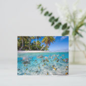 Tropisch eiland onder en boven water briefkaart (Staand voorkant)