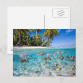 Tropisch eiland onder en boven water briefkaart (Voorkant / Achterkant)