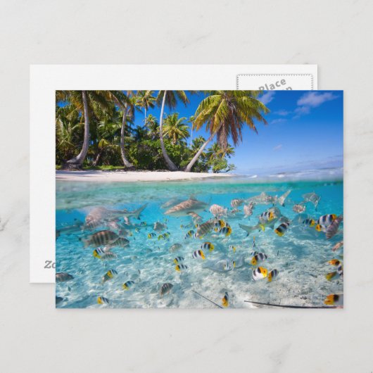 Tropisch eiland onder en boven water briefkaart (Voorkant / Achterkant)