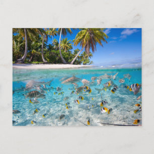 Tropisch eiland onder en boven water briefkaart
