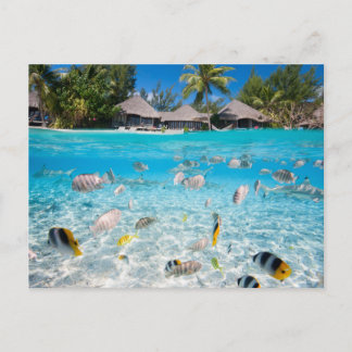 Tropisch eiland onder en boven water briefkaart