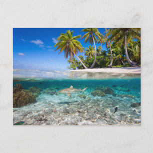 Tropisch eiland onder en boven water briefkaart