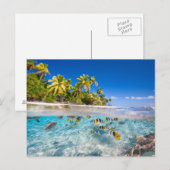 Tropisch eiland onder en boven water briefkaart (Voorkant / Achterkant)