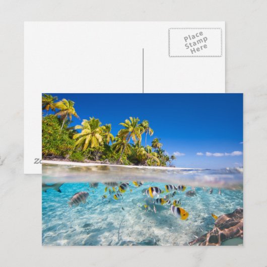 Tropisch eiland onder en boven water briefkaart (Voorkant / Achterkant)