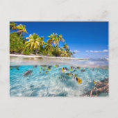 Tropisch eiland onder en boven water briefkaart (Voorkant)