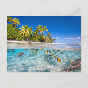 Tropisch eiland onder en boven water briefkaart