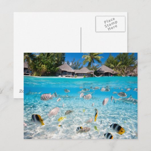 Tropisch eiland onder en boven water briefkaart (Voorkant / Achterkant)