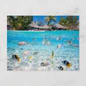 Tropisch eiland onder en boven water briefkaart (Voorkant)