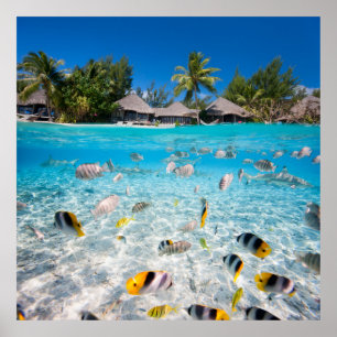 Tropisch eiland onder en boven water poster