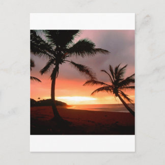 Tropisch eiland Palms Dominicaanse Republiek Briefkaart