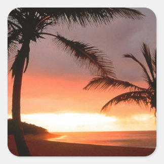 Tropisch eiland Palms Dominicaanse Republiek Vierkante Sticker