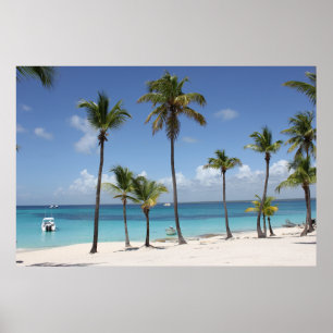 Tropisch eiland poster