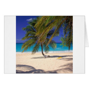 Tropisch eiland Seven Mile Grand Cayman