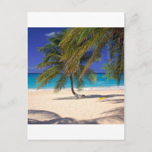 Tropisch eiland Seven Mile Grand Cayman Briefkaart
