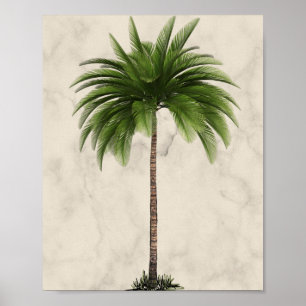 Tropisch Elegant Palm Tree Champagne Marble Poster
