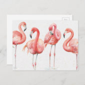 Tropisch | Familie van Flamingos Briefkaart (Voorkant / Achterkant)