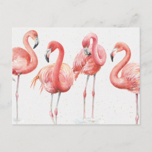Tropisch | Familie van Flamingos Briefkaart (Voorkant)