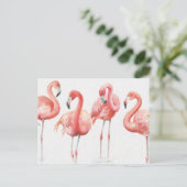 Tropisch | Familie van Flamingos Briefkaart (Staand voorkant)