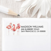 Tropisch | Familie van Flamingos Etiket (Insitu)