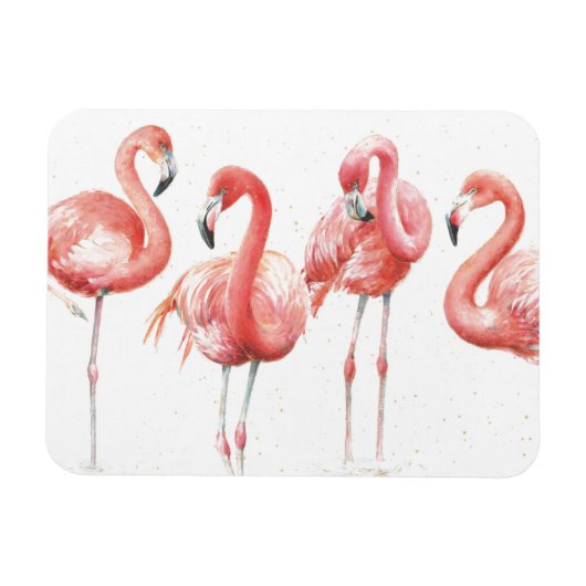 Tropisch | Familie van Flamingos Magneet (Horizontaal)
