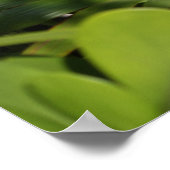 Tropisch Fan Poster (Hoek)