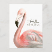 Tropisch Flamingo Bird Briefkaart (Voorkant)