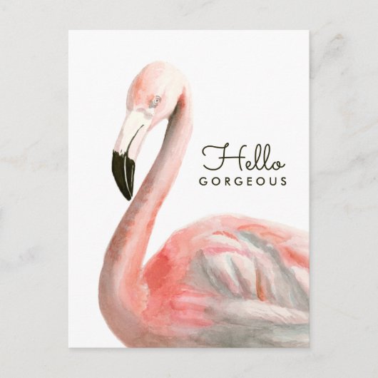 Tropisch Flamingo Bird Briefkaart (Voorkant)