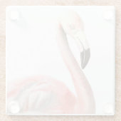 Tropisch Flamingo Bird Glazen Onderzetter (Achterkant)