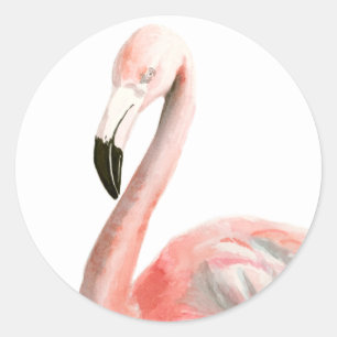 Tropisch Flamingo Bird Ronde Sticker