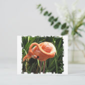 Tropisch Flamingo Briefkaart (Staand voorkant)