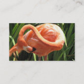 Tropisch Flamingo Visitekaartje (Achterkant)