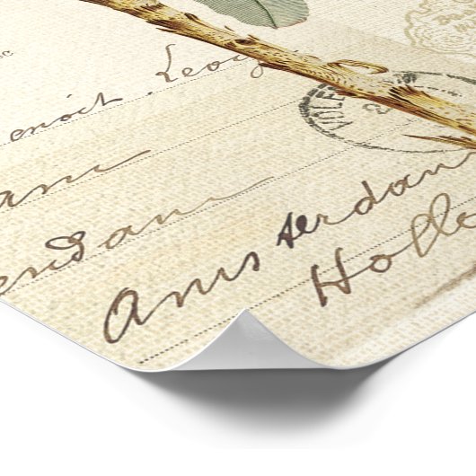 Tropisch Floridian Pattern Poster (Hoek)