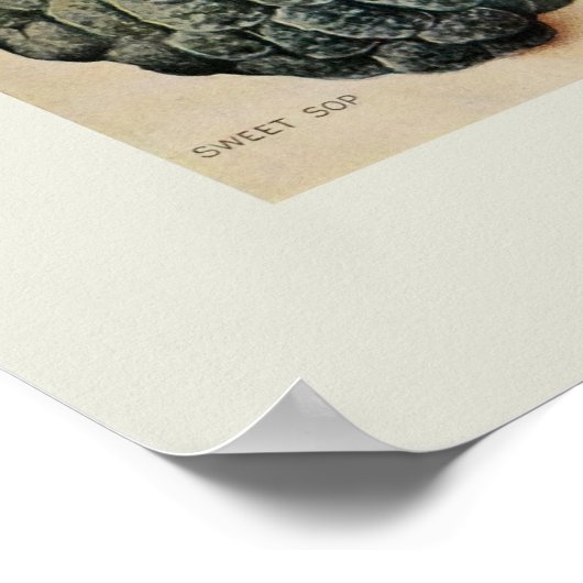 Tropisch fruit poster (Hoek)