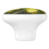 Tropisch geel geelhout met gouden douche keramische knop (Zijkant)