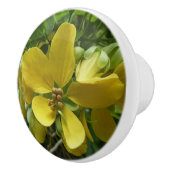 Tropisch geel geelhout met gouden douche keramische knop (Rechts)