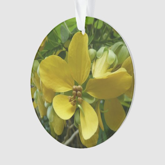 Tropisch geel geelhout met gouden douche ornament (voorkant)