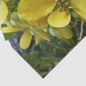 Tropisch geel geelhout met gouden douche tissuepapier (Detail)