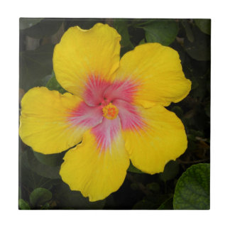 Tropisch geel Hibiscus Floral Tile Hawaii Tegeltje