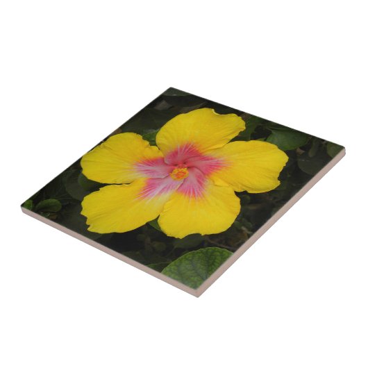 Tropisch geel Hibiscus Floral Tile Hawaii Tegeltje (Zijkant)