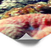 tropisch geelneonvis poster (Hoek)