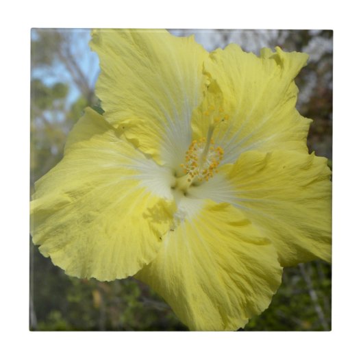 Tropisch gele bloem Tile Hawaii Floral Flower Tegeltje (Voorkant)