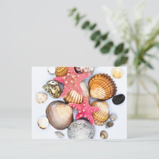 Tropisch gemengde zeeschelvis briefkaart (Staand voorkant)