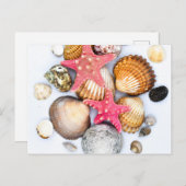 Tropisch gemengde zeeschelvis briefkaart (Voorkant / Achterkant)