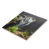 Tropisch gestripte viskeramische tegel tegeltje (Zijkant)