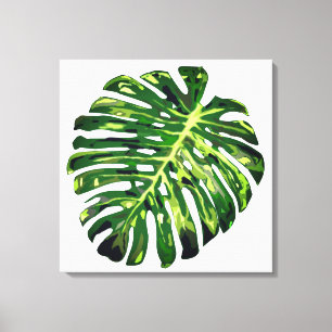 Tropisch groen Monstera blad canvasprint Canvas Afdruk