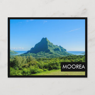 Tropisch groen Moorea zwart lijst briefkaart