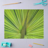 Tropisch Groen Tissuepapier (Craft)