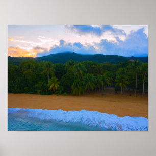 Tropisch Guadeloupe Ocean Palm Beach Sunset Poster