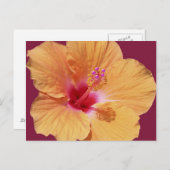 Tropisch Hawaïaans Briefkaart (Voorkant / Achterkant)